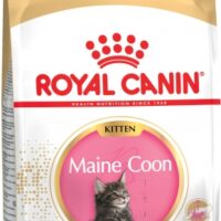 Корм Royal Canin Maine Coon KITTEN для КОТЯТ породы мейн кун 3-15 мес., 10 кг