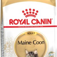 Корм Royal Canin Maine Coon Adult для породы мейн кун старше 15 мес., 10 кг