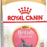 Корм Royal Canin British Shorthair KITTEN для КОТЯТ британских/шотландских пород 4-12 мес., 10 кг