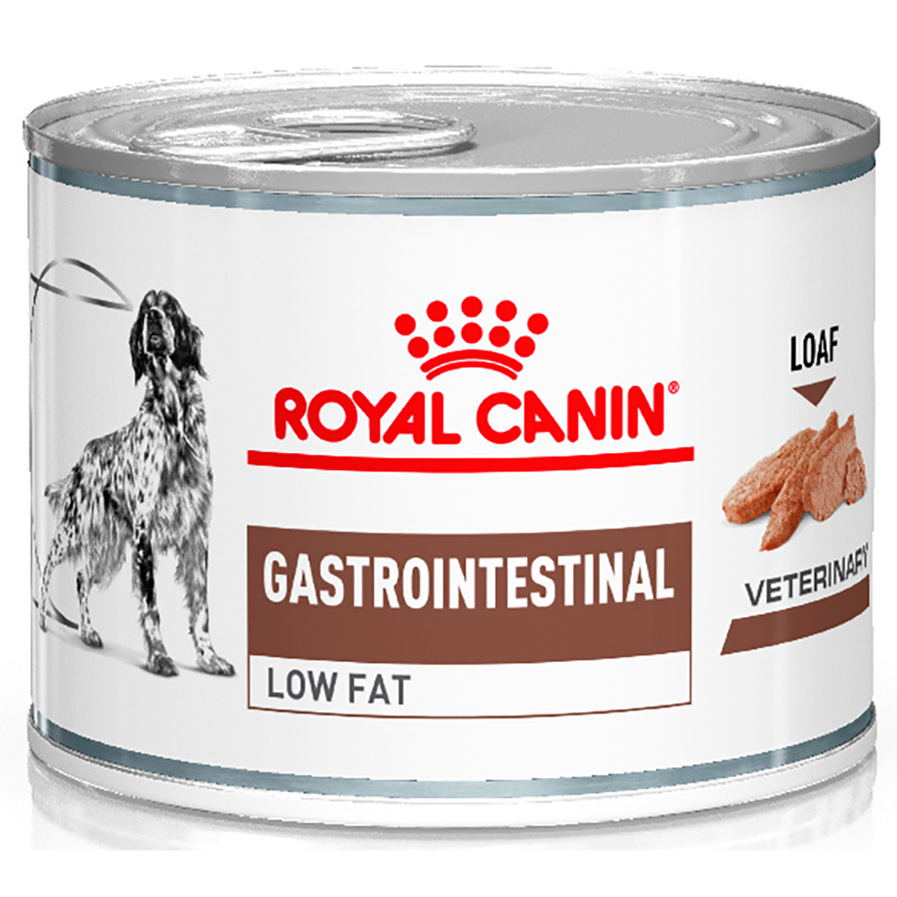 Gastrointestinal влажный для кошек купить. Royal Canin Gastrointestinal Low fat (паштет). Royal Canin для собак Gastrointestinal Low. Royal Canin Gastrointestinal Low fat паштет для собак. Роял Канин Лоу фэт паштет.